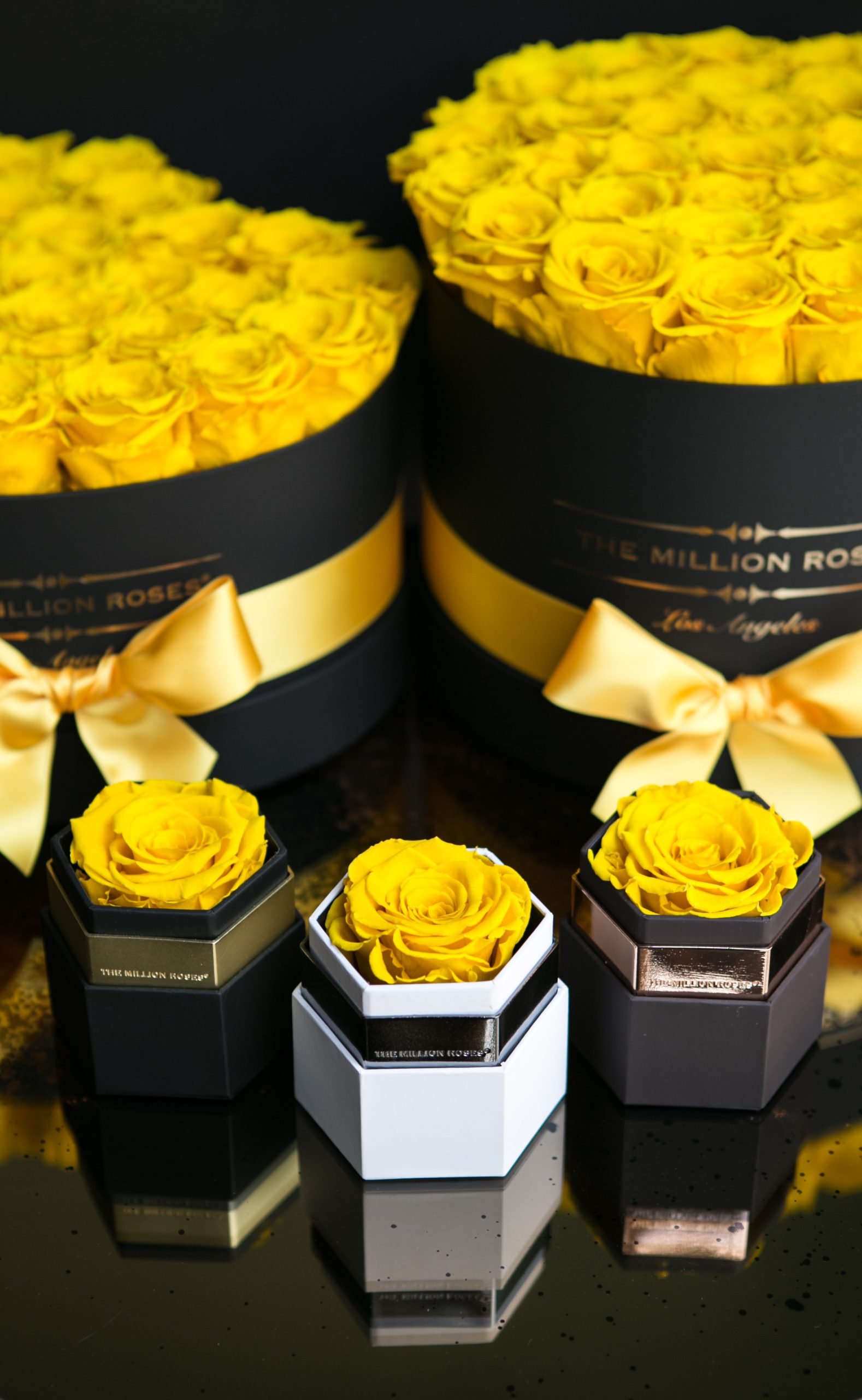 Yellow Roses