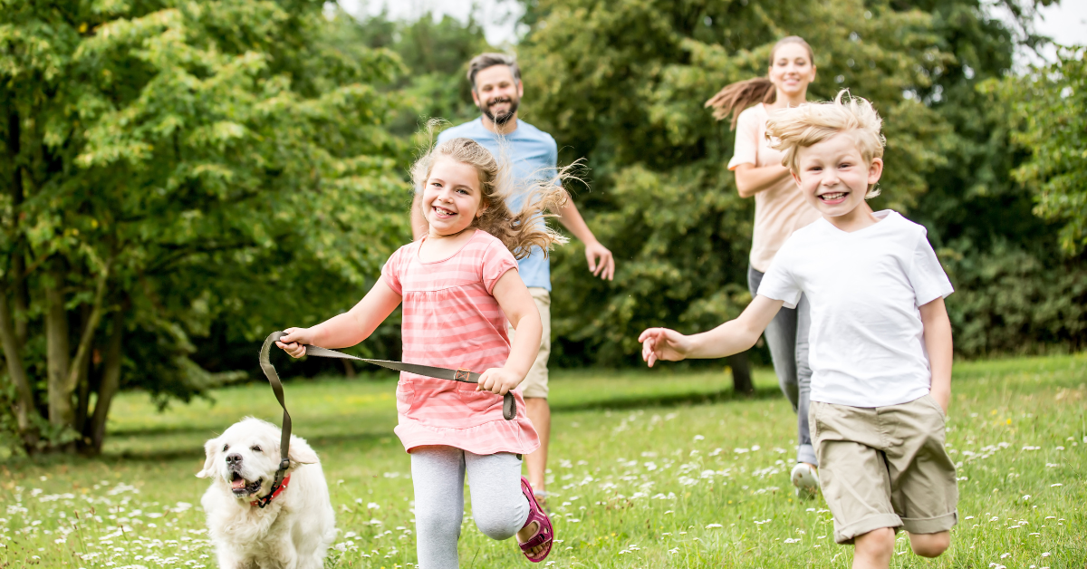 fun games to play with family