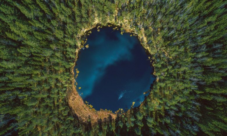 lake in the middle of forest
