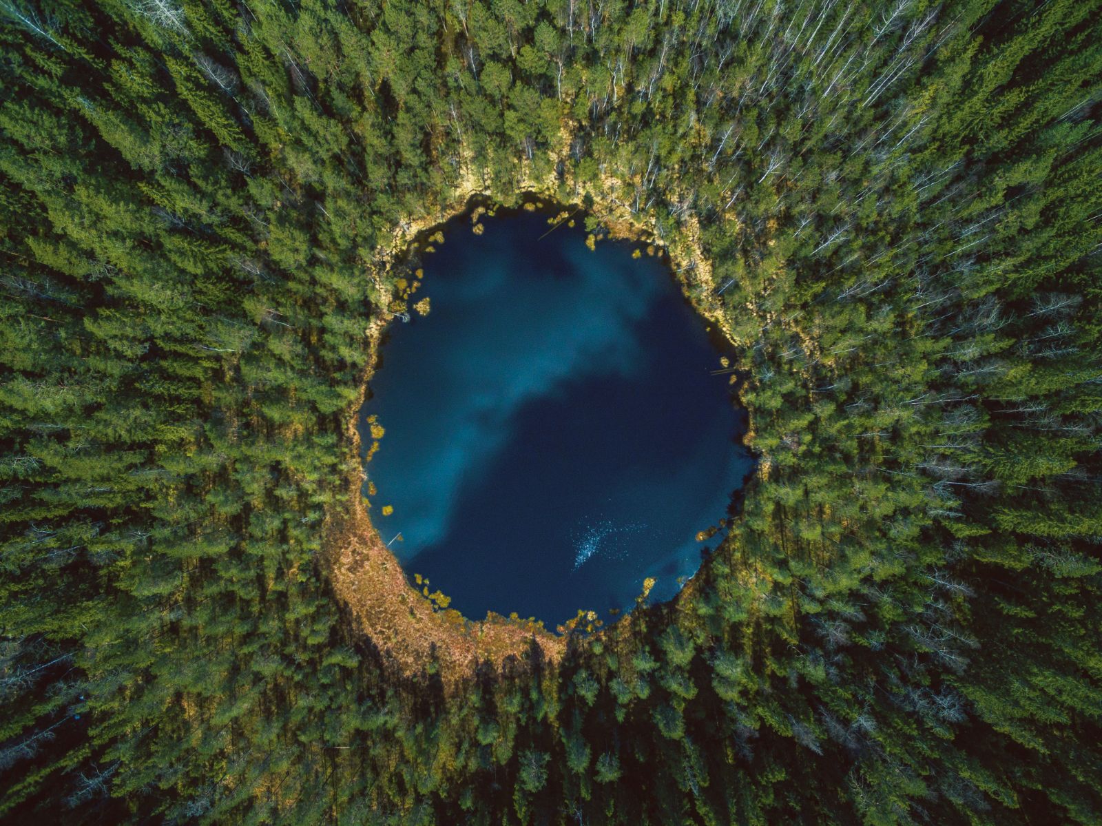 lake in the middle of forest