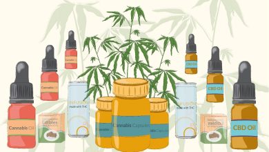 What to know about CBD and its types