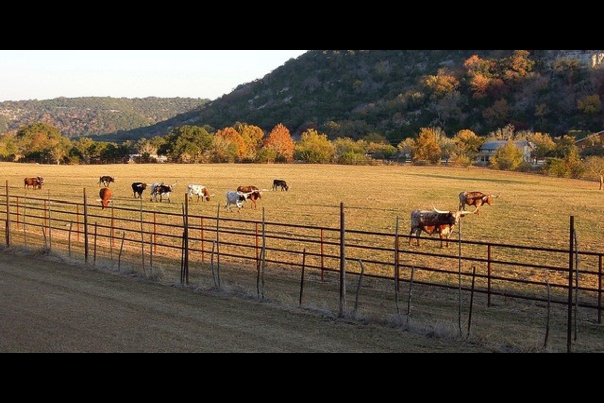TEXAS HILL COUNTRY FARM AND RANCHES FOR SALE – HOW WISE IS IT TO INVEST IN TEXAS HILL COUNTRY FARM AND RANCHES