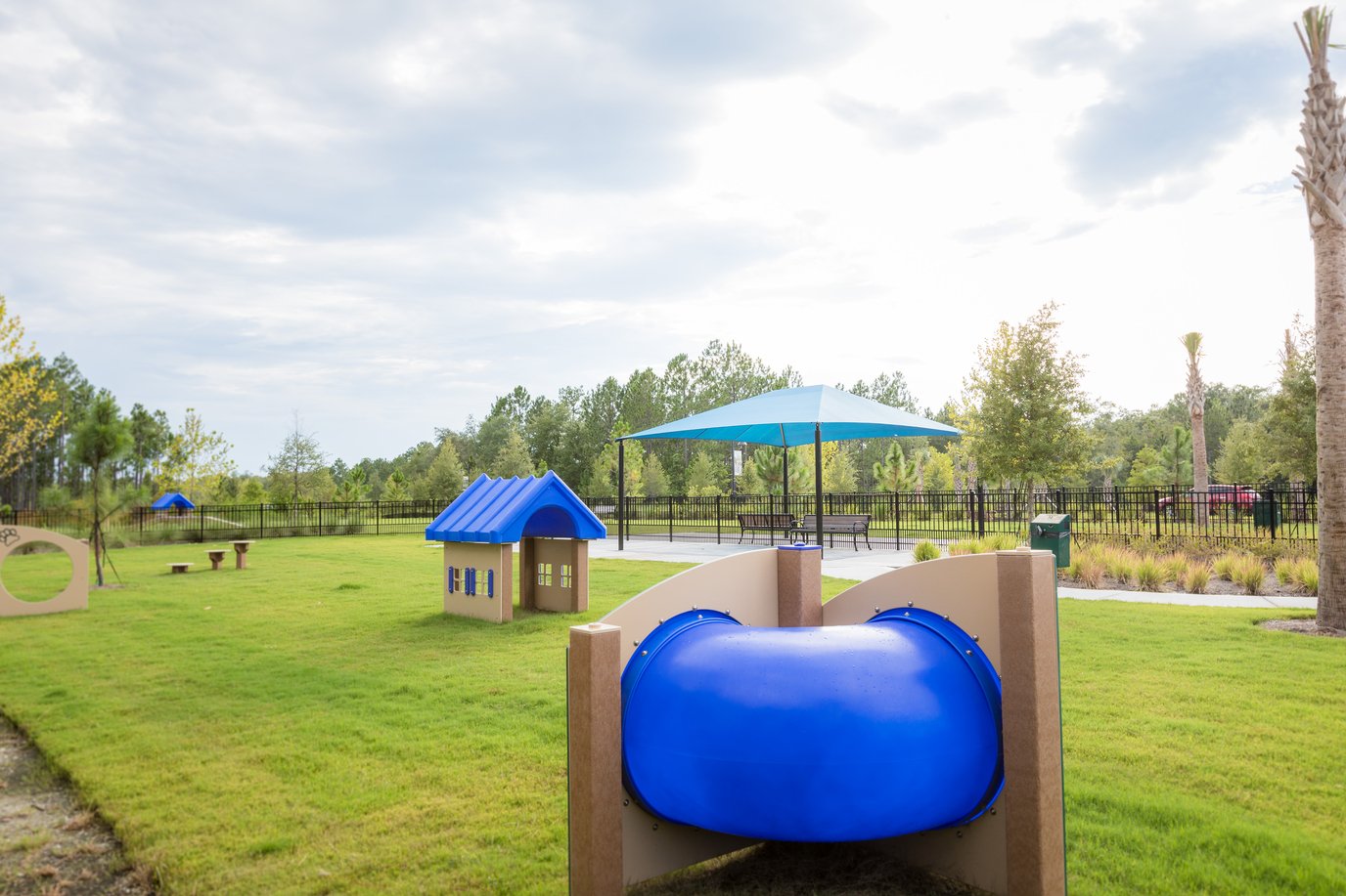 dog-playground-equipment